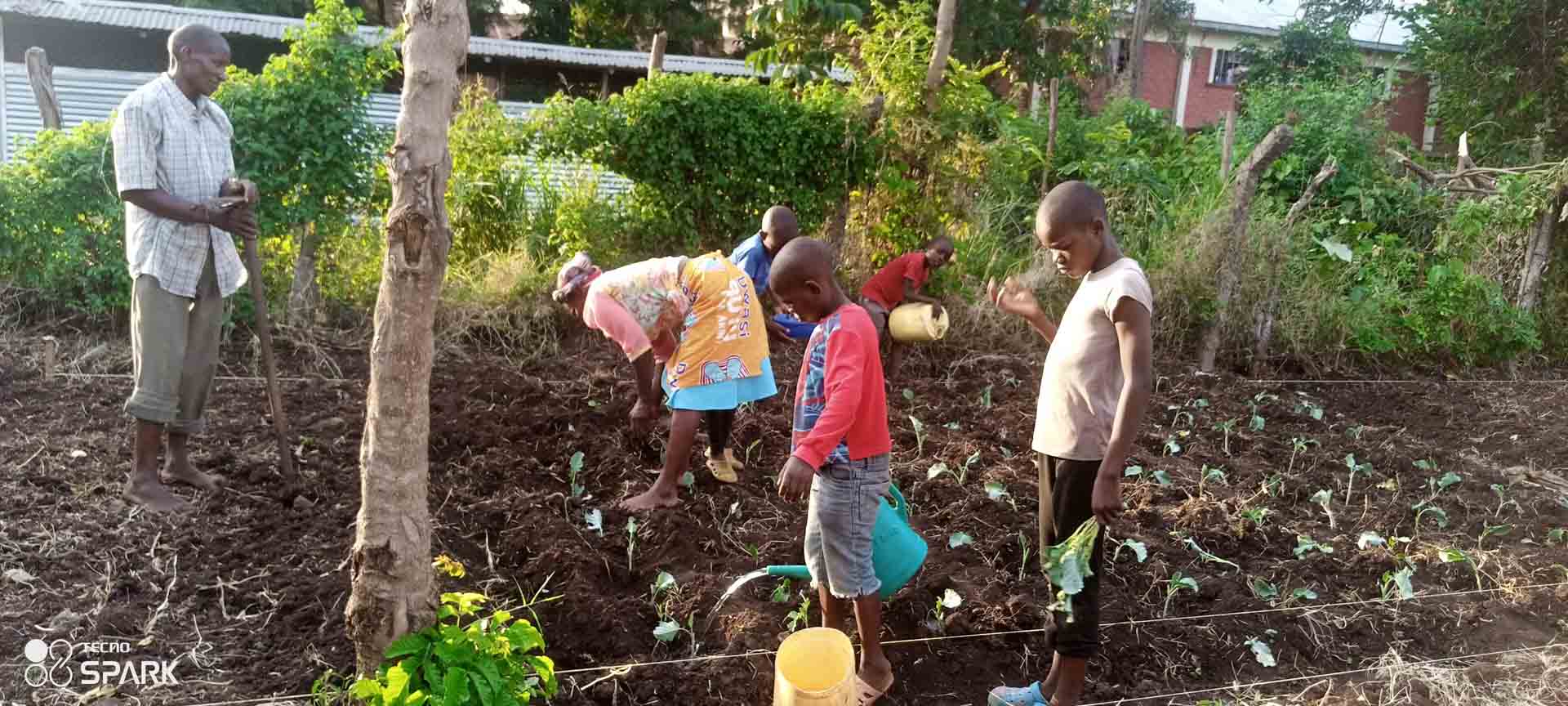 Children planting vegetables in the kitchen garden